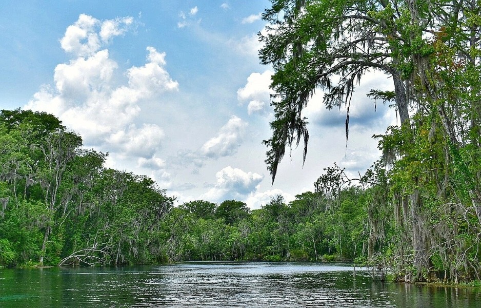 Silver Springs State Park, Ocala, Florida