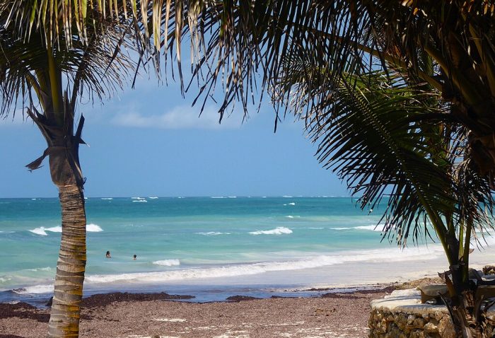A beautiful view of Diani Beach, Kenya