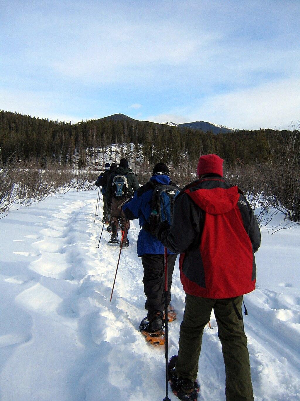 A ranger-led snowshoeing tour in Rocky Mountain National Park.