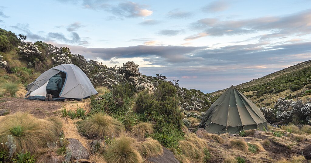 Camping tents in Mount Kenya National Park.