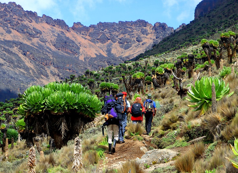 Trekkers on Mount Kenya
