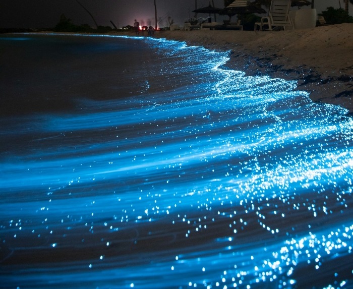 Bioluminescent Bay in Huraa Maldives.