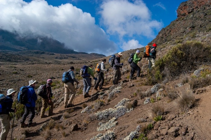 A group of hikers on Route Rongai, climbing Mount Kilimanjaro