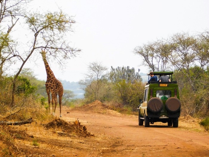 Tourists on a safari in Akagera National Park, Akagera Road, Rwanda