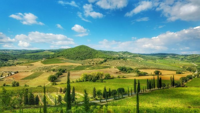 Tuscany's countryside