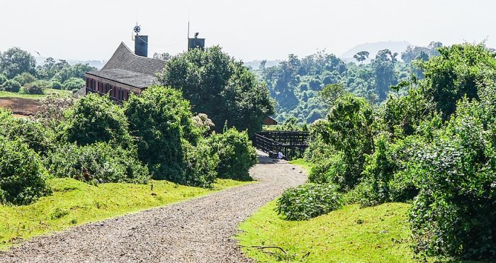 Aberdare National Park, Kenya. Underrated safari destinations