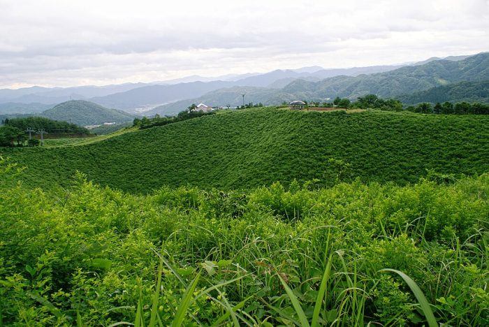 The crater of Mount Kannabe in Kannabe highlands in San'in Kaigan Global Geopark