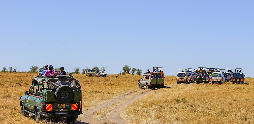 Safari vehicles in Maasai Mara National Reserve, Kenya