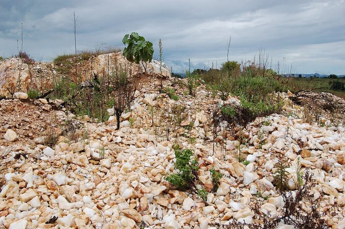 Nyika National Park, Malawi