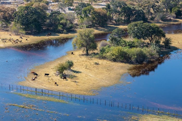 An aerial view of Okavango Delta, Botswana