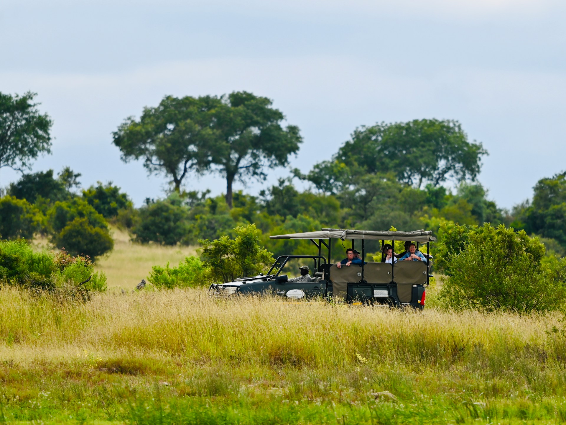 7 Most Underrated Safari Destinations