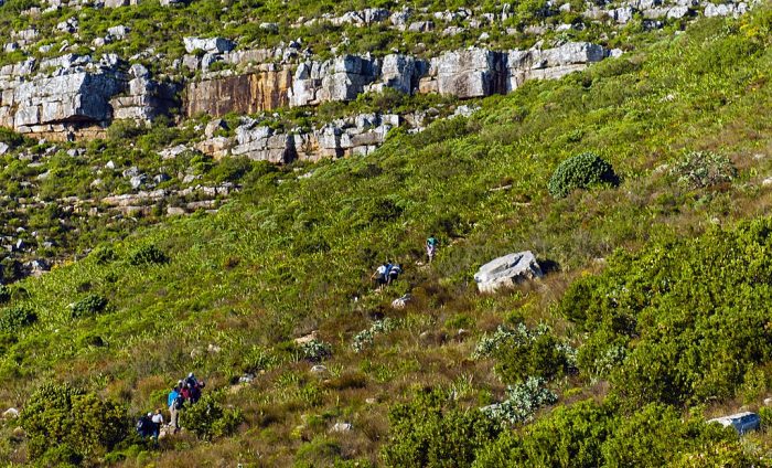 Hiking Table Mountain, Cape Town, South Africa