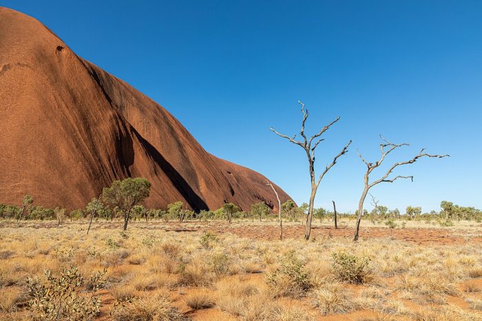 Kuniya Walk near Mutitjulu Waterhole at Uluru (Ayers Rock) in Uluṟu-Kata Tjuṯa National Park, Petermann Ranges, Northern Territory, Australia