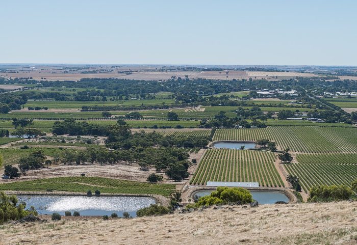 View of Barossa Valley from Mengler Hill 