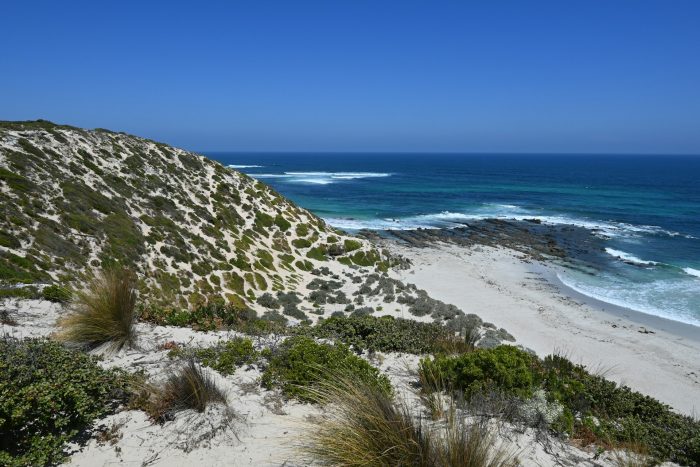 An easterly view of Seal Bay Beach from the lookout in Seal Bay Conservation Park, Kangaroo Island, South Australia