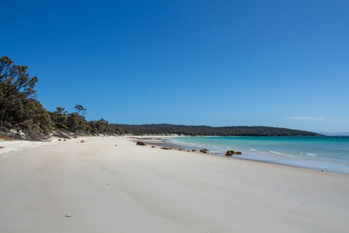 A sandy beach in Freycinet TAS, Australia