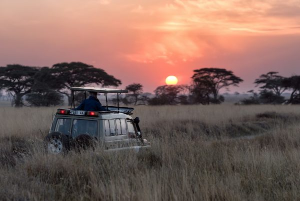 Serengeti at sunrise. How to visit Serengeti without crowds