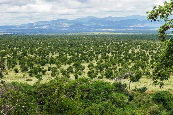 Meru National Park, Kenya