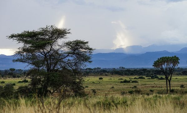 Meru National Park's vast landscape