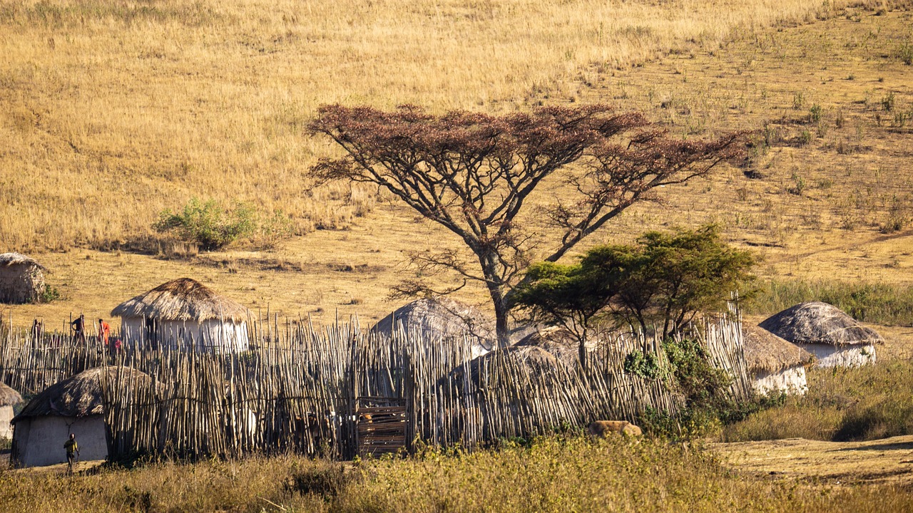A Maasai Village